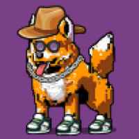 DogePunks #497