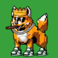DogePunks #3376