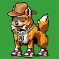 DogePunks #4007