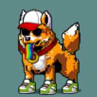 DogePunks #4955