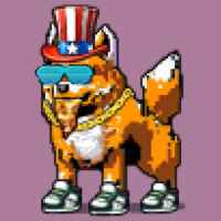 DogePunks #1884