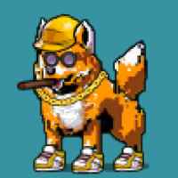 DogePunks #1450