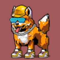 DogePunks #3804