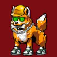 DogePunks #238