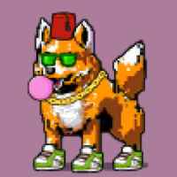 DogePunks #562