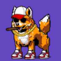 DogePunks #3823