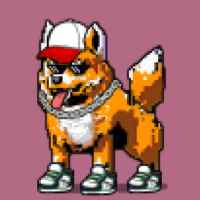 DogePunks #1984