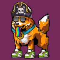DogePunks #1919