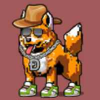 DogePunks #995