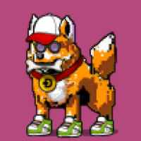 DogePunks #432