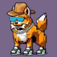 DogePunks #1573