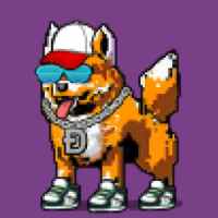 DogePunks #641