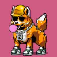 DogePunks #4207