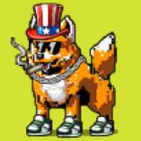 DogePunks #746