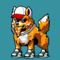 DogePunks #284