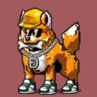 DogePunks #2523