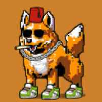 DogePunks #3480