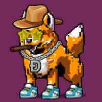 DogePunks #4298