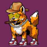 DogePunks #551