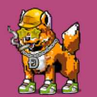 DogePunks #3865