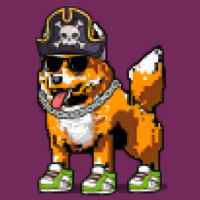 DogePunks #4843