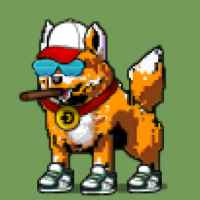 DogePunks #4570