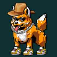 DogePunks #4344