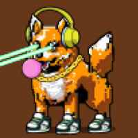DogePunks #4204