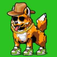 DogePunks #109