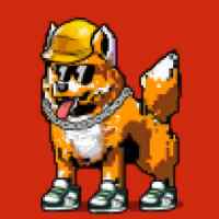 DogePunks #2230