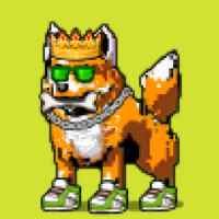 DogePunks #3307