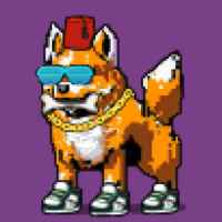 DogePunks #315