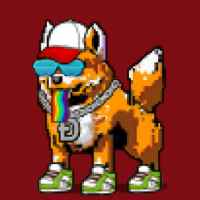 DogePunks #4284