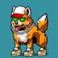 DogePunks #3439