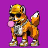 DogePunks #447