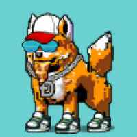 DogePunks #4372