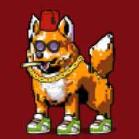 DogePunks #468