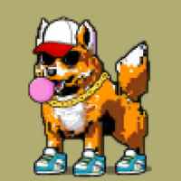 DogePunks #4593