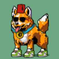 DogePunks #2260
