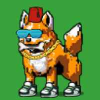 DogePunks #2434