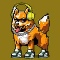 DogePunks #962