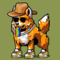 DogePunks #1971