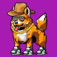 DogePunks #2024