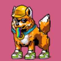 DogePunks #1816