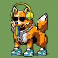 DogePunks #3982