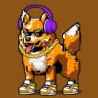 DogePunks #542