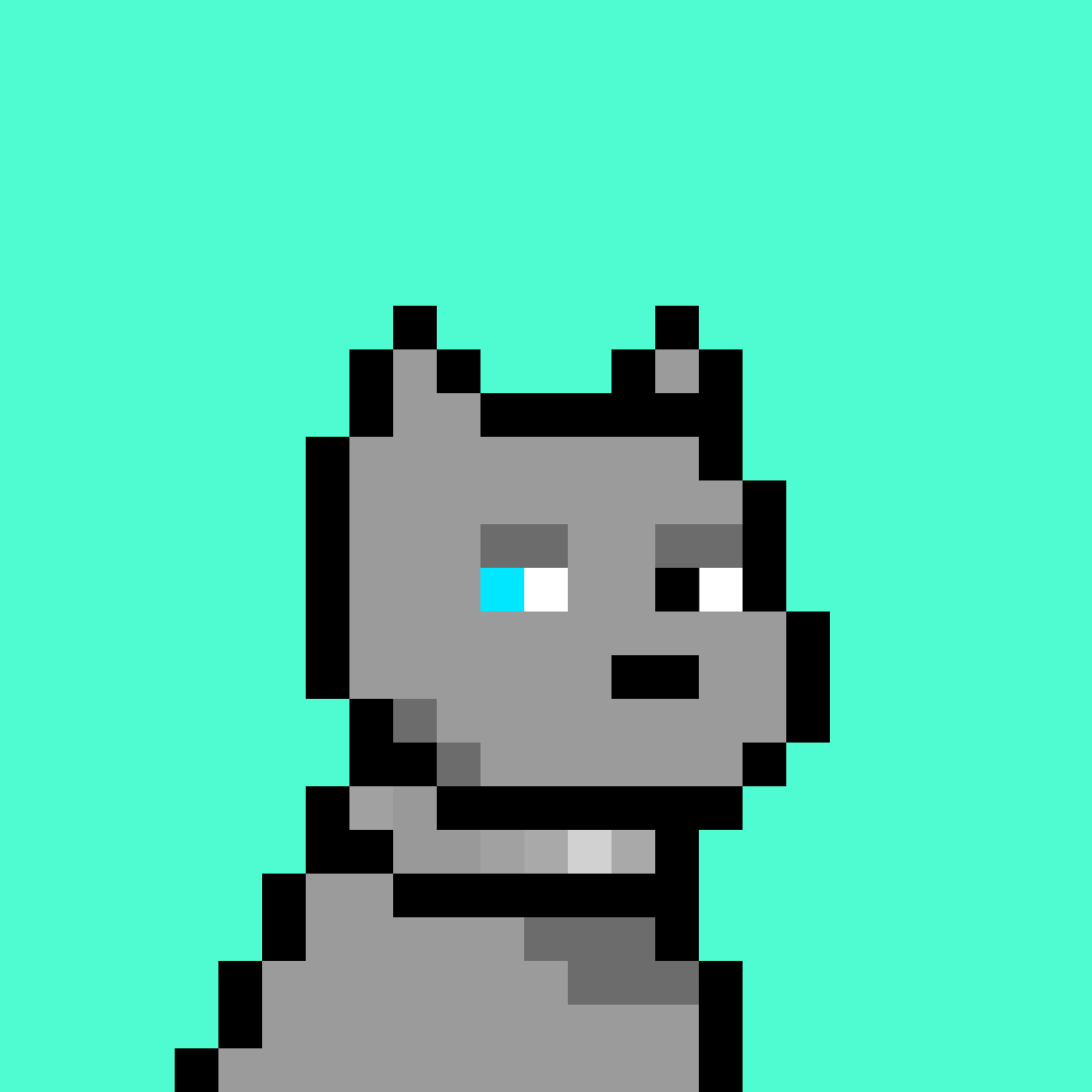 Doginal Dog #4872