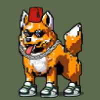 DogePunks #3208
