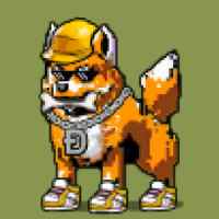 DogePunks #4864
