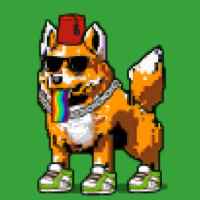 DogePunks #1895